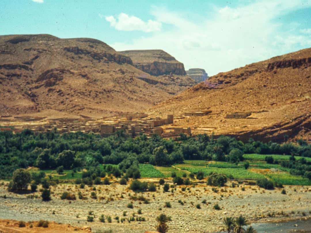 Palmental vor hohen Bergen in Marokko