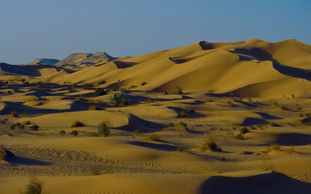 Sahara Dünen im Grand Erg Oriental in Algerien