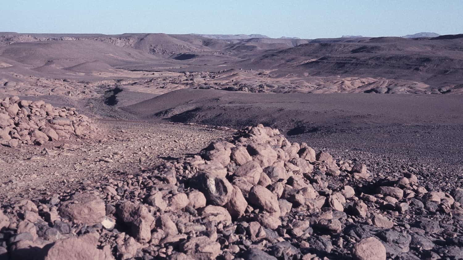 Steinwüste Algerien
