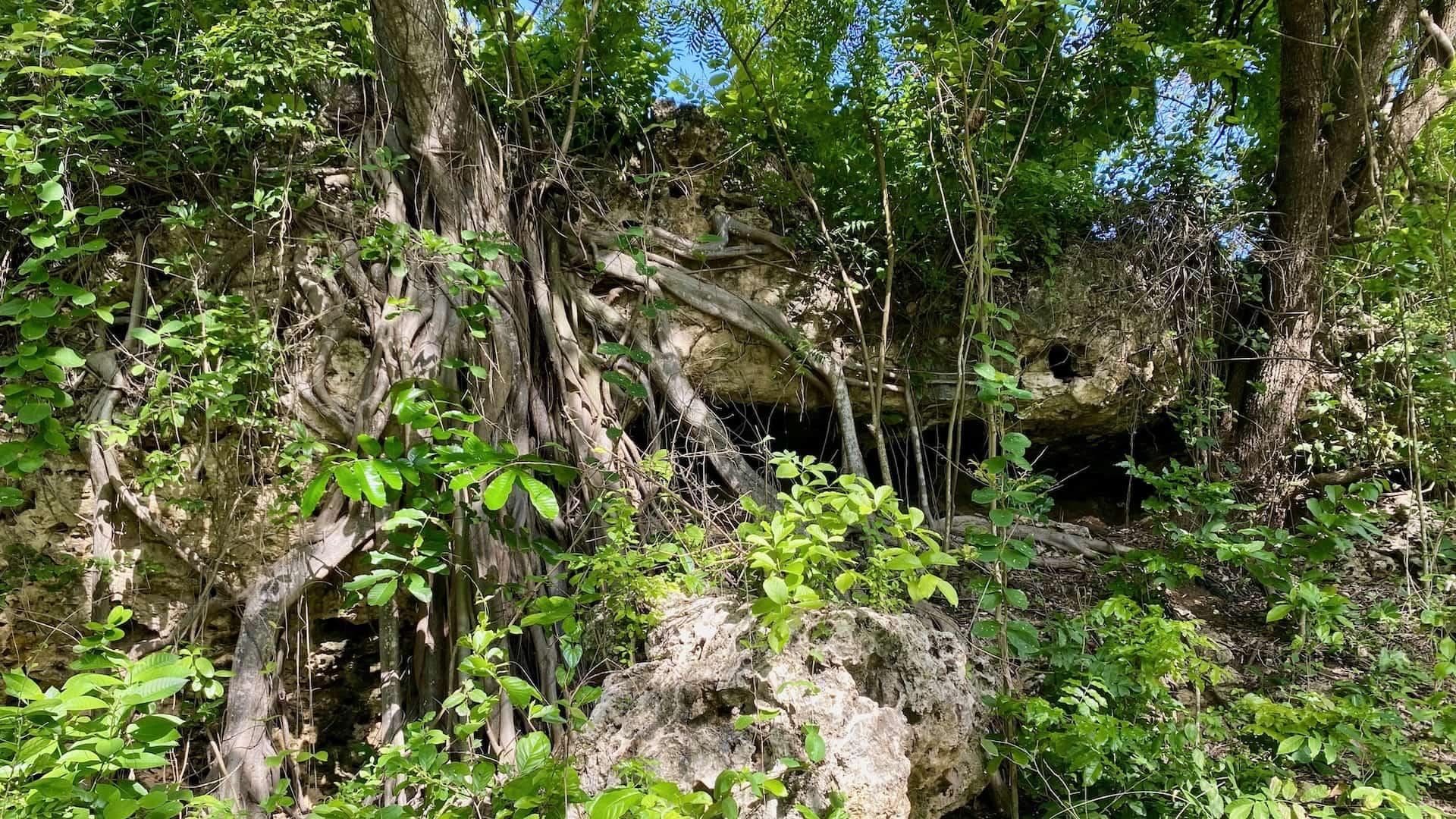 Korallenhöhle im Hinterland der Tiwi Beach