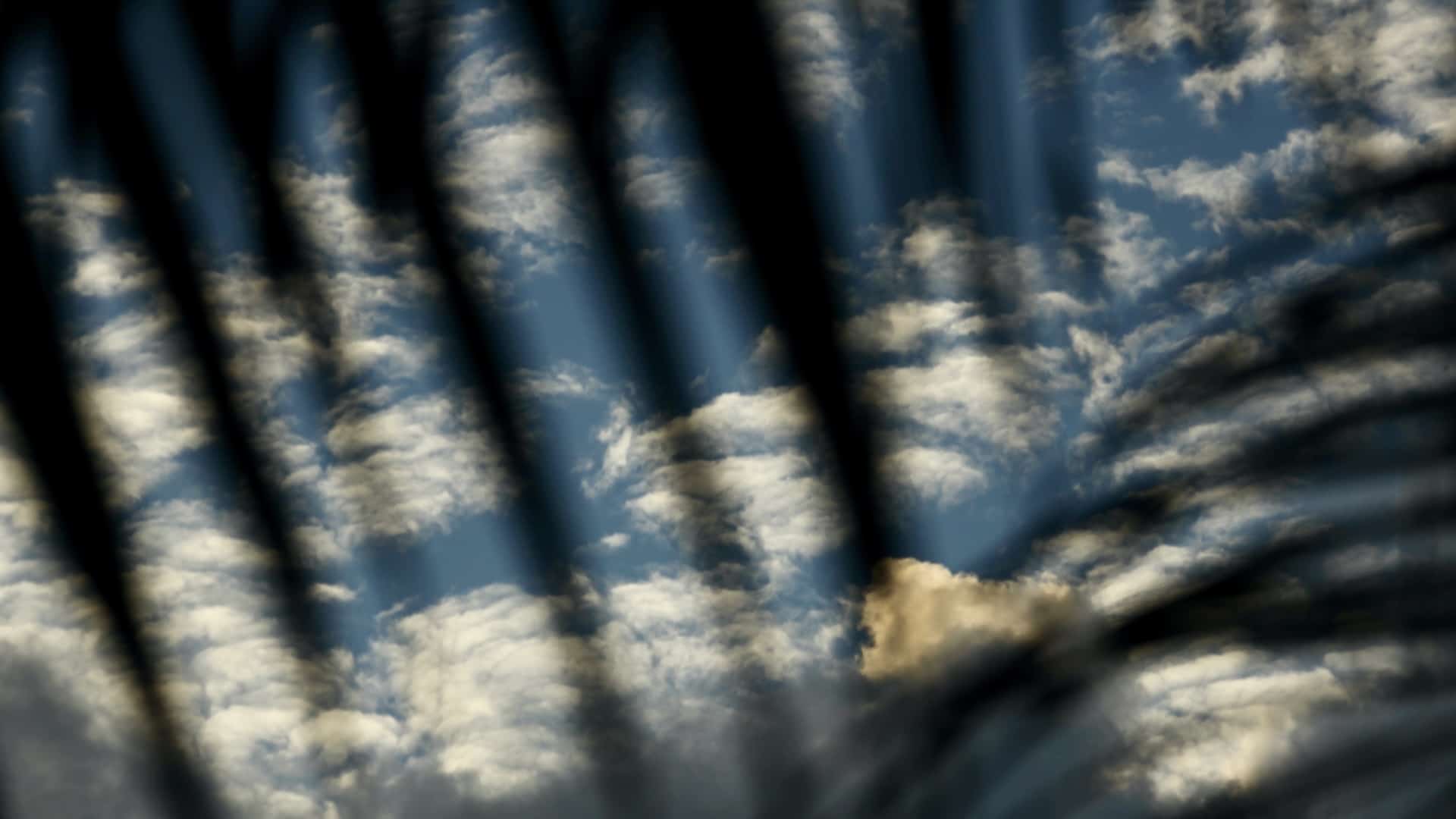 Palmblätter werfen einen Schatten gegen einen bewölkten Himmel